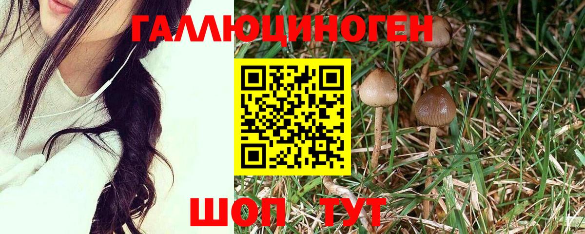 Галлюциногенные грибы MAGIC MUSHROOMS Мичуринск